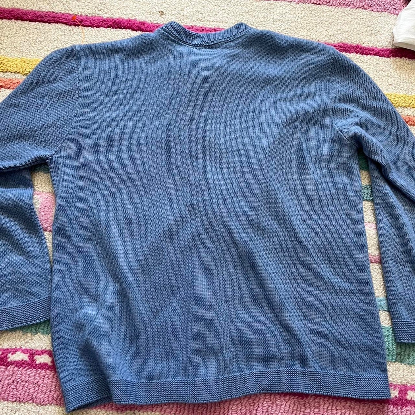 Blue Cardigan